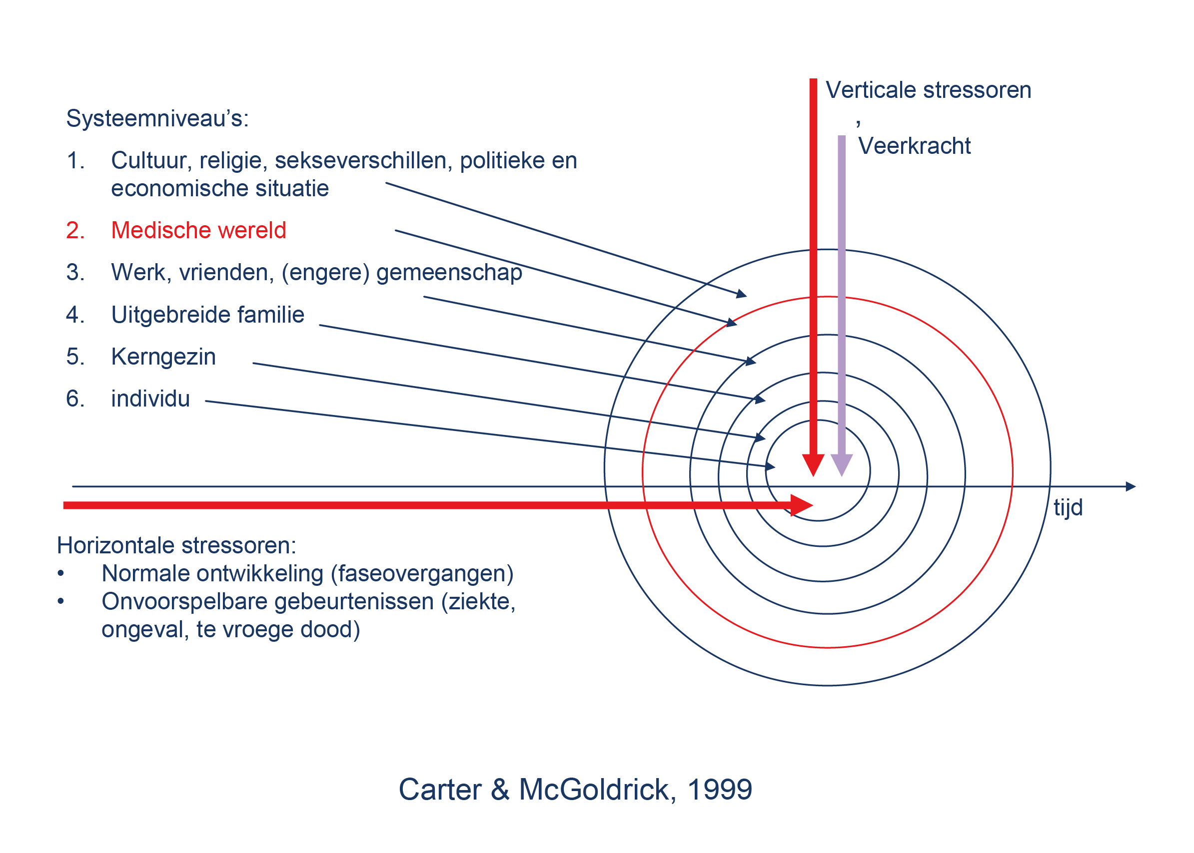 Carter & McGoldrick, 1999